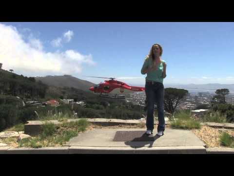 Best Surprise Wedding Serenade EVER!!