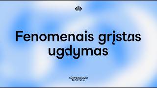 Fenomenais grįstas ugdymas Kauno mokyklose 2025–2026 m.