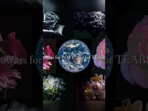 地中海の庭園デザイン – 植物と花のアイデア  庭園