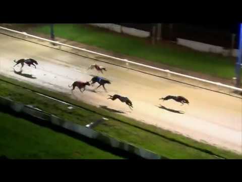 RPGTV ST LEGER - HEAT 5 - T4 AVASTORM