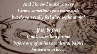 Damien Rice - Accidental Babies Lyrics