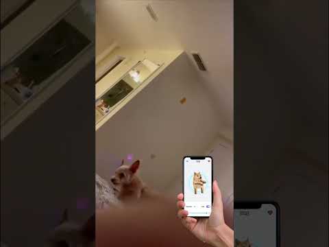 Prank Sound: Air Horn & Fart video thumbnail