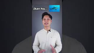 Download lagu 3 Kecelakaan Kapal Paling Mengerikan Dalam Sejarah mp3 Download lagu 3 Kecelakaan Kapal Paling Mengerikan Dalam Sejarah mp3