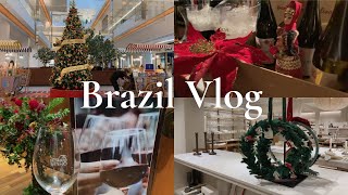 ブラジル Vlog｜ワイン試飲会／クリスマスツリーとサンタクロース／ワインショップでランチ