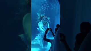 Download lagu kashmir jalakanya exhibition at guntur#exhibition#guntur#summervibes#holidayseason#kidsentertainment mp3