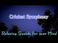 Nature Sounds for Relaxing, Meditation & Sleep ...
