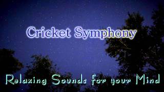 🎧 NATURE SOUNDS for Relaxing, Meditation & Sleep... Night Time Cricket Sounds