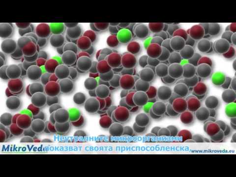 MikroVeda - Effektive Mikroorganismen