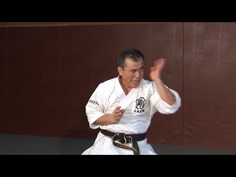 Shisochin - Okinawa Karate Goju Ryu Kata