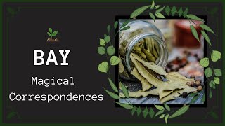 Bay Correspondences &amp; Uses In Magical Practice | Laurus Nobilis | Witchcraft