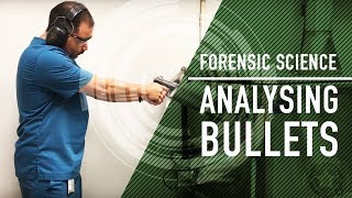 Behind the Scenes of PBSO's Forensic Scientists
