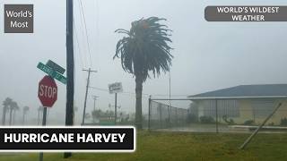 A Hurricane That Led To The Rescue Of Over 17,000 People | World's Wildest Weather | S02 E02