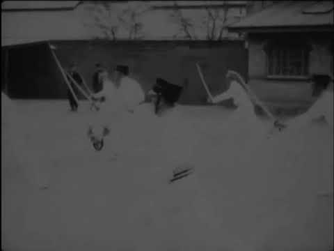 1917 Danish Military Sword Drill