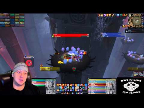 Heroic Ji-Kun Raid Guide