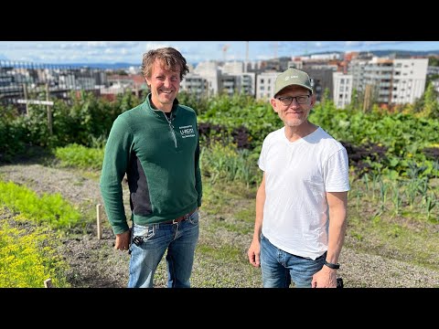 Andreas Capjon / Økern Portal Rooftop garden in Oslo, Norway