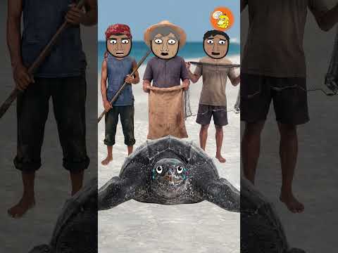 Why it sucks to be a Leatherback