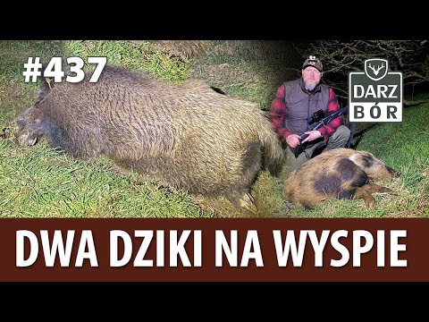 Darz Bór odc. 437 Dwa dziki na wyspie.
