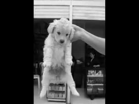 Hipertexto 40 - Muestra Fotográfica Filminuto.