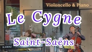 Download lagu サン=サーンス 白鳥 / Saint-Saëns The Swan mp3 Download lagu サン=サーンス 白鳥 / Saint-Saëns The Swan mp3