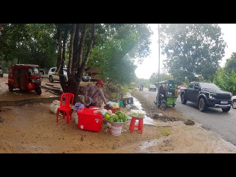 Countryside Street Food Tour in Heavy Rain! Fish, Frog, Shrimp, Cake, Crab, & More, Market Tour