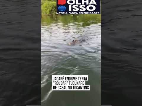 😱🐊 JACARÉ LADRÃO DE PEIXE! Casal leva SUSTO na pescaria 🎣😂