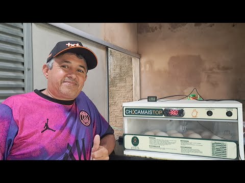 HOW TO ADJUST THE INHAUCHER TO HATCH EGGS. 100% HATCHING