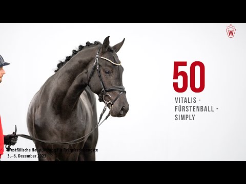 Hauptkörung 2023 Reitpferde Katnr. 50 Vitalis - Fürstenball - Simply