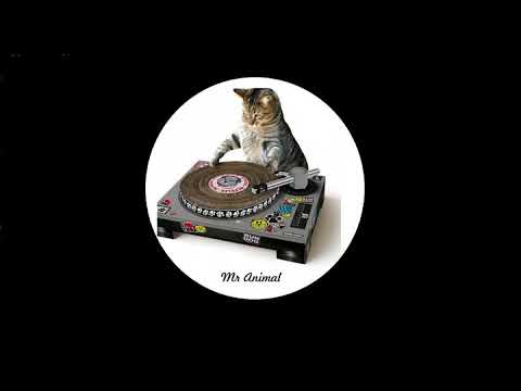 Mix Tujamo- Getting money vs Crank dat vs P.I.M.P (50 cent)