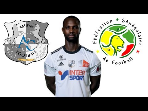 Moussa Konaté ● Goals, Assists ● Amiens SC ● 2017/2018