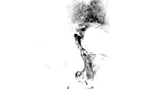 Xiu Xiu - Nieces Pieces (Heartstomp Visualizer)