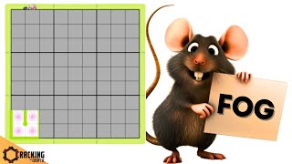 The Final Rat Puzzle? Finkz In The Fog!