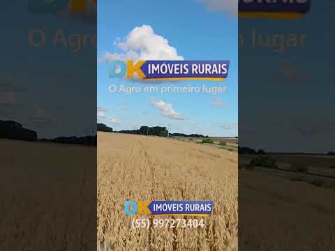 🚜 Arrendamento Rural no RS | Áreas de 200 a 4.500 Hectares 🌾