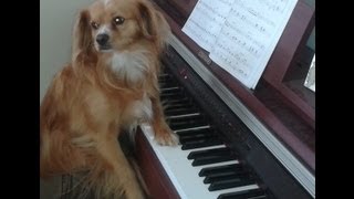 Once I Loved (Amor Em Paz) - Antonio Carlos Jobim