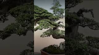 Download lagu SANTIGI SLANTING JUARA KONTES INTERNASIONAL IBC 2023 mp3