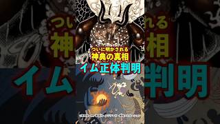 【ワンピース】ついに、明かされる“イム様の正体”がヤバい ※最新話ネタバレ注意 #ワンピース #onepiece #考察