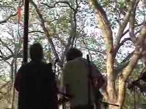 John Cowan and Sam Bush