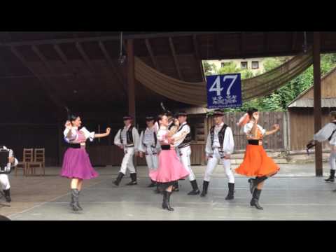 PUĽS - Slezské dny 2016