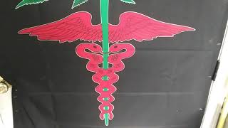 Organic Greenhouse Flower Room Update The Reset #6 #KoweKast