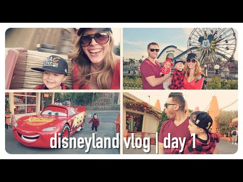 meeting his idol | disneyland vacation vlog | brianna k Video