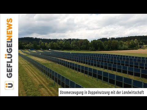 , title : 'Stromerzeugung in Doppelnutzung mit der Landwirtschaft - so kann es funktionieren!'