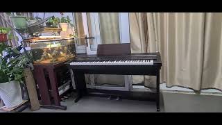 góc học piano