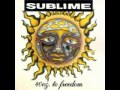 Sublime - We're only gonna die for our own arrogance (full version)