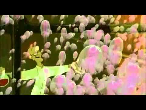 Segítség hal lettem! - a professzor dala