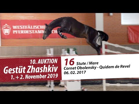 16 Stute / Mare v. Cornet Obolensky - Quidam de Revel