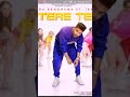 Tere Te Gururandhwa Song Mixx 2018