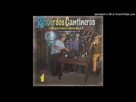 Te Vi Partir-Dueto Kirama