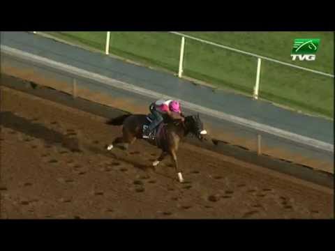 The Works - Sweet Reason (Monday's Show)