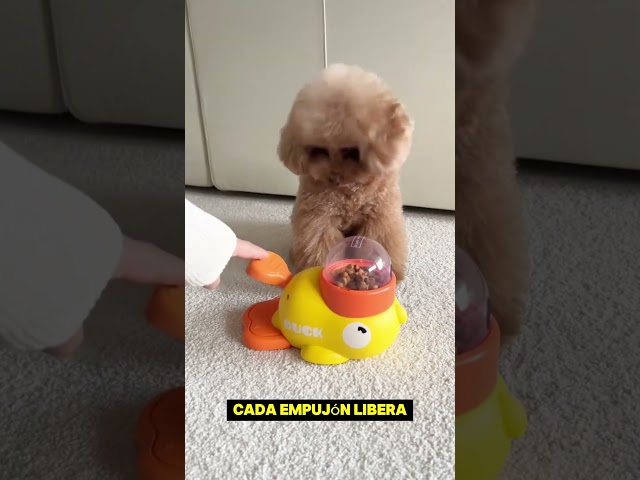 Vídeo relacionado con Ferizzia Perro de Pato Antiestrés, Juguete Masticable de Peluche para Perro, ATO Antiestrés para Perros, Juguete Interactivo Indestructible, para Pequeños y Medianos Grandes