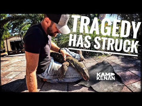 Heartbroken over Bill (Frozen Overnight)