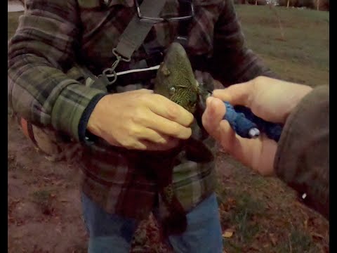 バルボア湖 2023 年新年 - 空中での釣り シーズン 4 エピソード 1